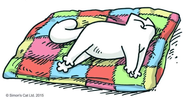 Котик в одеяле рисунок