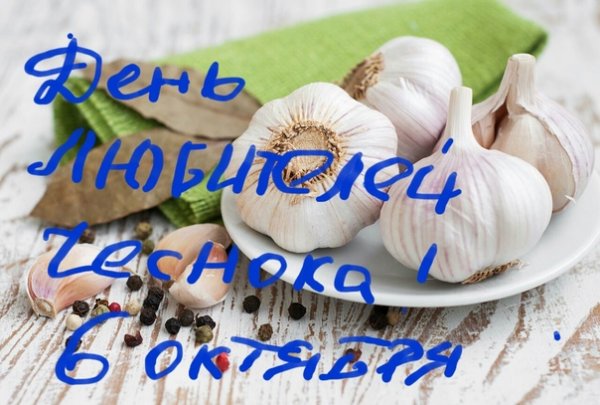 День любителей чеснока