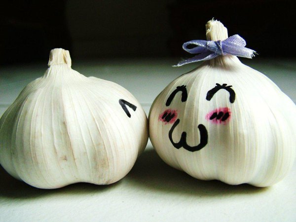 Смешной чеснок