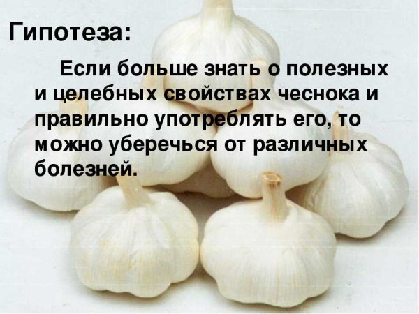 Чем полезен чеснок