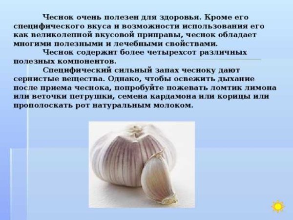 Чеснок полезен для здоровья