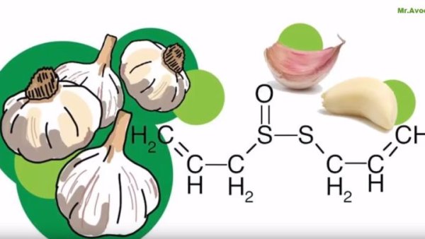 Аллицин из чеснока