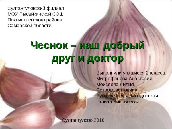 Чеснок презентация для детей