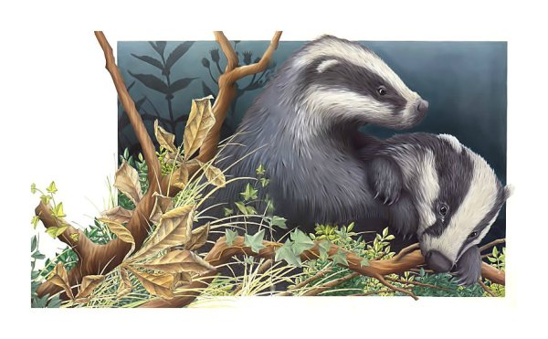 Барсук живопись