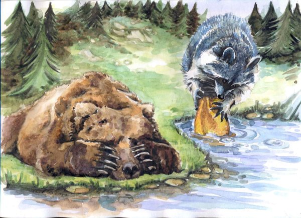 Енот и мишка