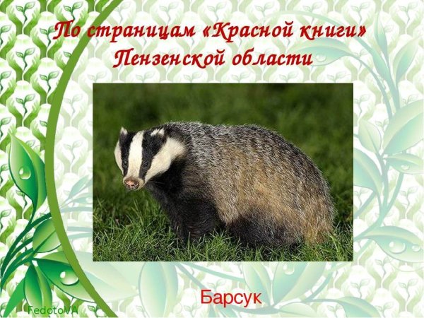 Животные Пензенской области занесенные в красную книгу