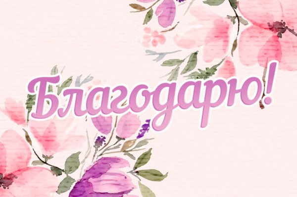 Благодарю надписи