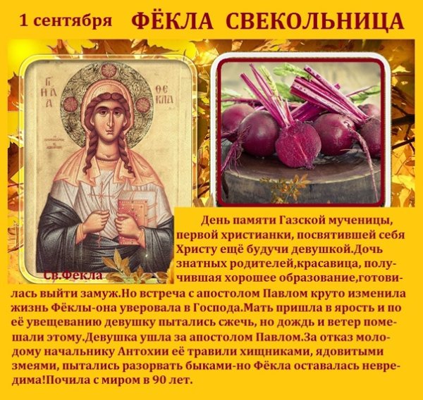 Фекла Свекольница