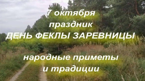 Фекла Заревница 7 октября