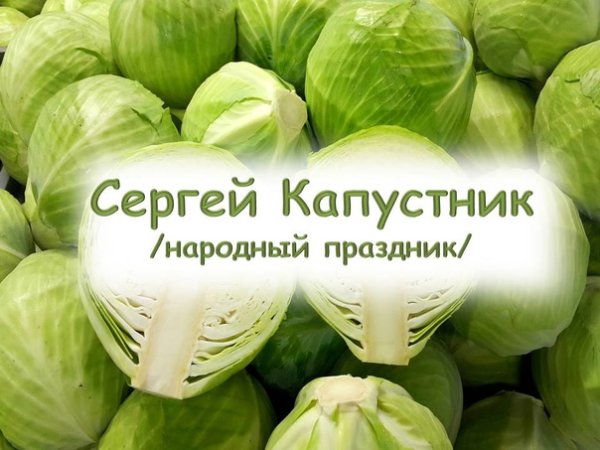 Сергей капустник фото