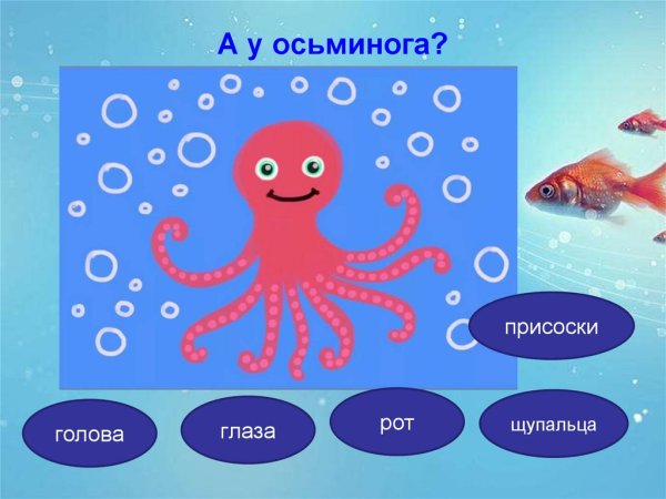 Задания от осьминога для детей