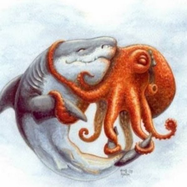 Акула осьминог