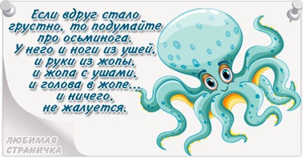 Надпись про осьминога