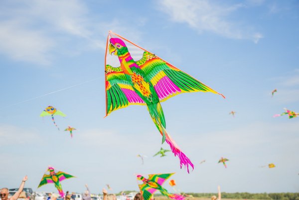 Всемирный день воздушных змеев