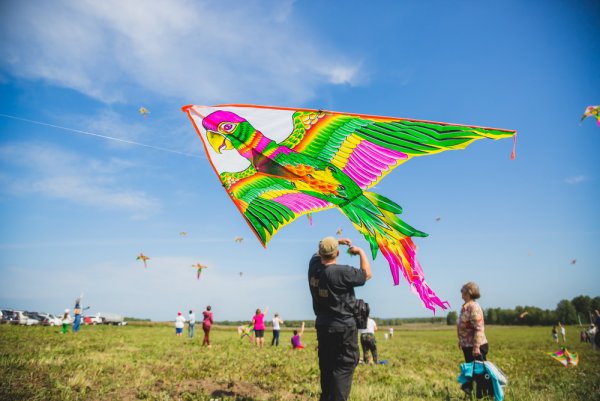 Запускание воздушного змея