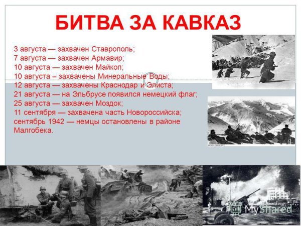Отечественная война битва за Кавказ