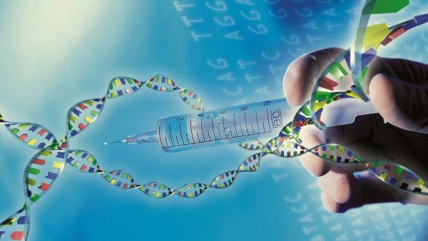 Фетальная генная терапия