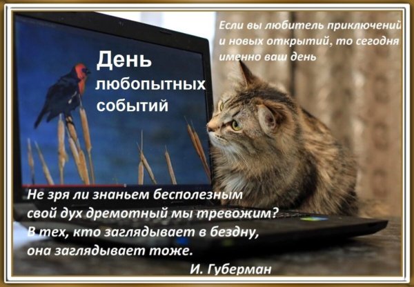 День любопытных событий