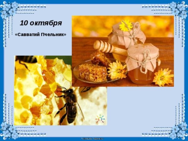 Савватий Пчельник праздник