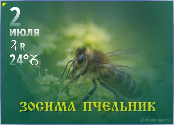Зосима Пчельник день Пасечника