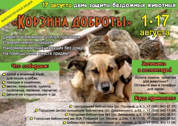 Защита бездомных животных