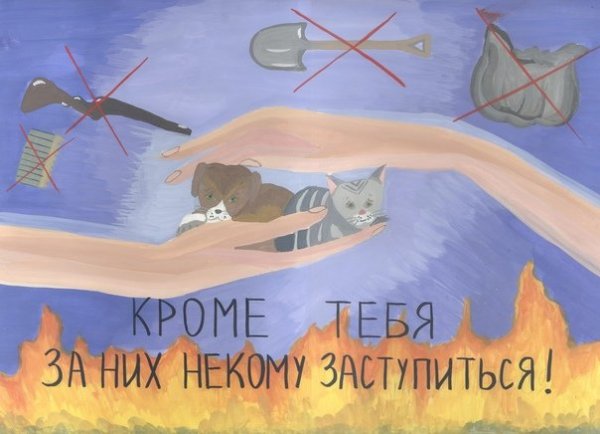 Защитим животных