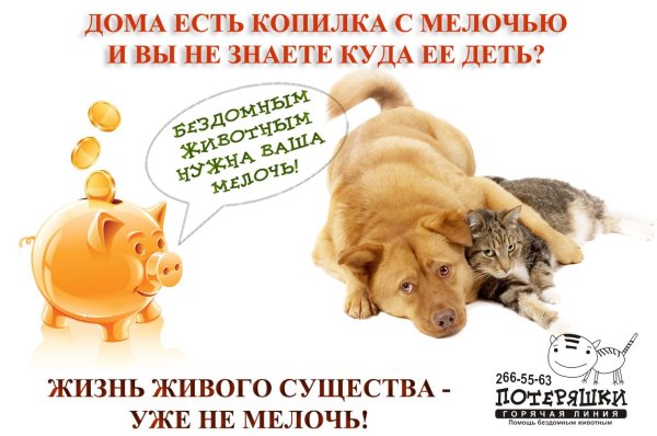 Акция ко Всемирному Дню бездомных животных