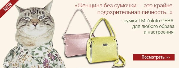 Смешные цитаты про сумки