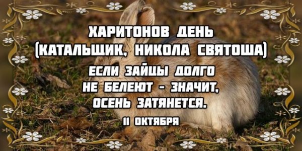 С праздником Харитонов день