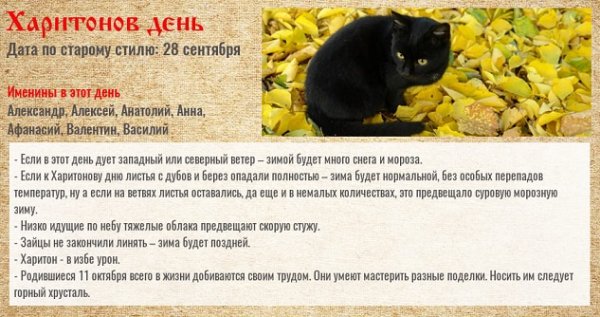 Народные приметы 11 октября