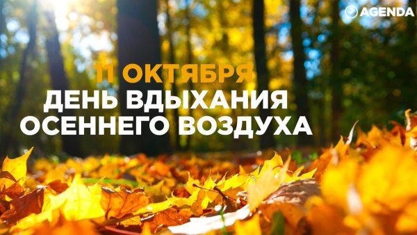 День вдыхания осеннего воздуха