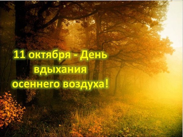 День вдыхания осеннего воздуха 11 октября