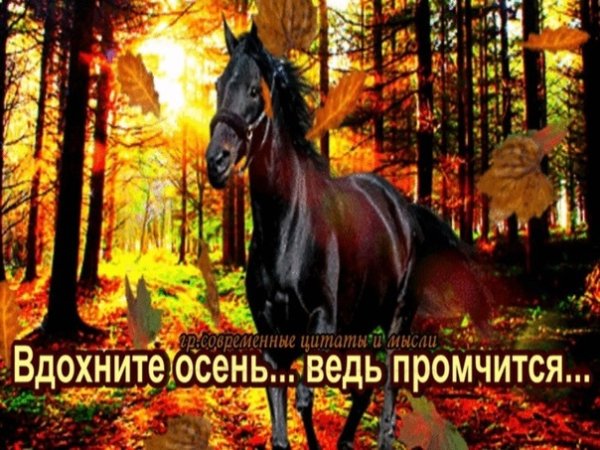 День вдыхания осеннего воздуха