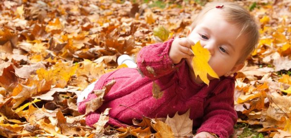 Жизнь замечательна и удивительна если замечать и удивляться