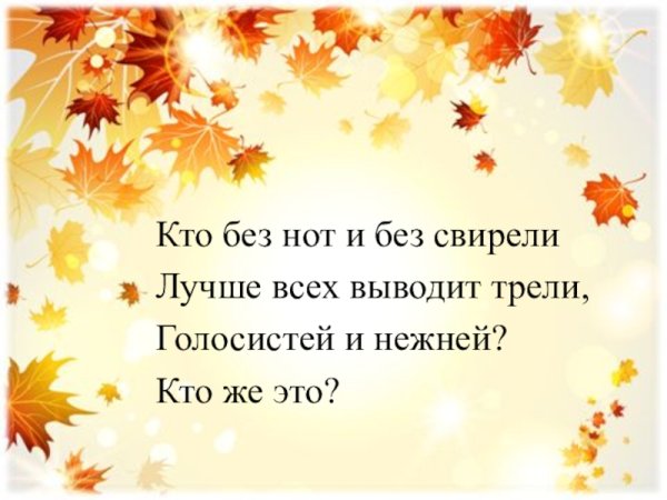 Рядом с дворником шагаю разгребаю