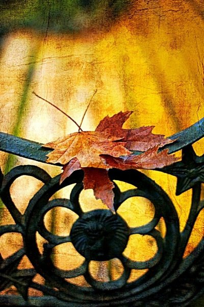 Осеннее равноденствие в 2021 Дата