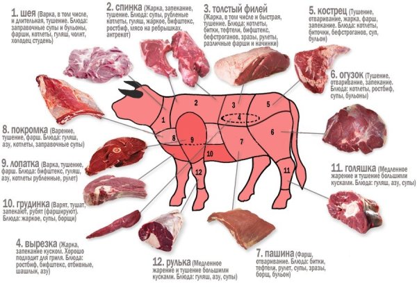 Схема мясо туша говяжья