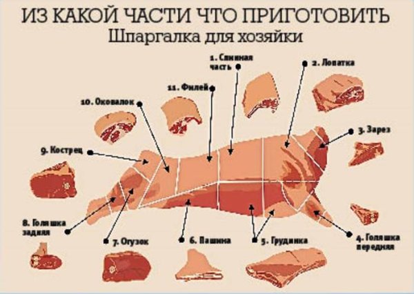 Кострец и оковалок