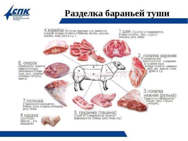 Технологическая схема процесса разделки бараньей туши