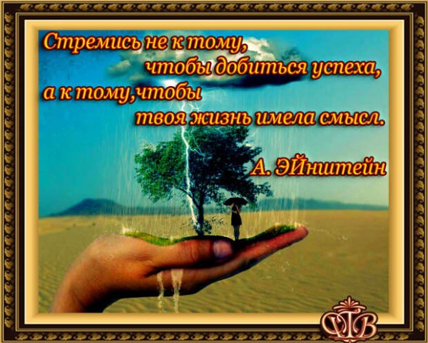 Открытки Международный день вопля разочарования