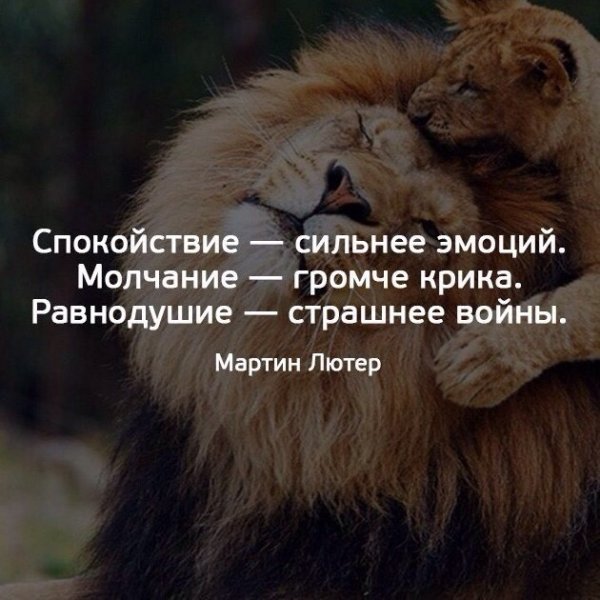 Цитата молчание громче крика равнодушие страшнее войны