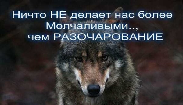 Цитата выбор сделанный в гневе