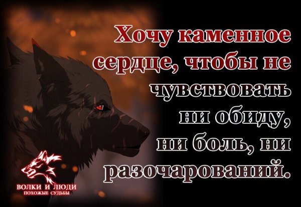 Волки и люди похожие судьбы цитаты