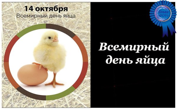 Всемирный день яйца