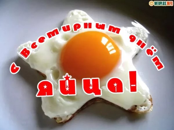 Всемирный день яйца