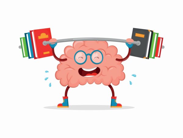 Книги о мозге с иллюстрациями