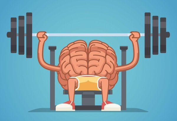 Тренировка мозга