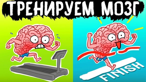 Прокачай свой мозг