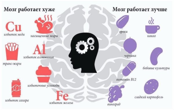 Мозг работает
