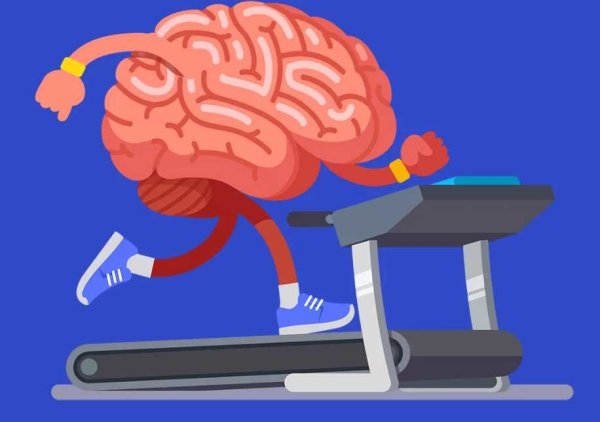 Тренируй мозг